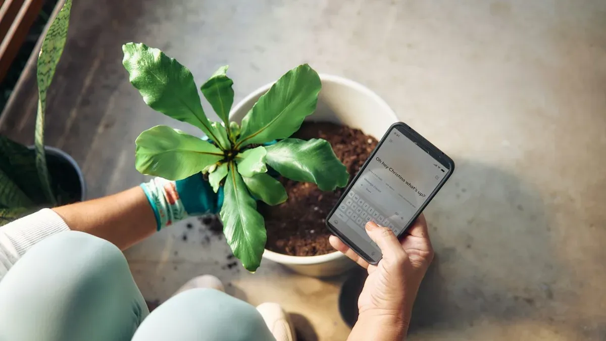 application plantes gratuite — Application plantes gratuite : PlantSnap gratuit