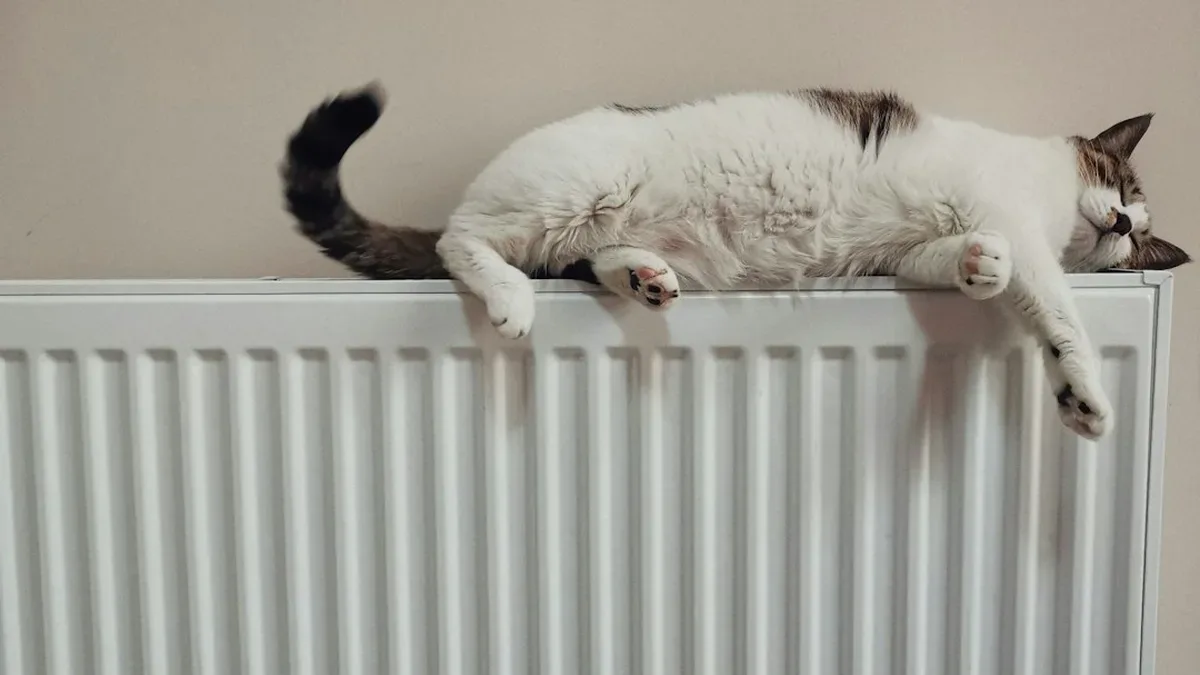 quel radiateur avec une pompe a chaleur — Quel radiateur avec une pompe à chaleur : l'écart mesuré